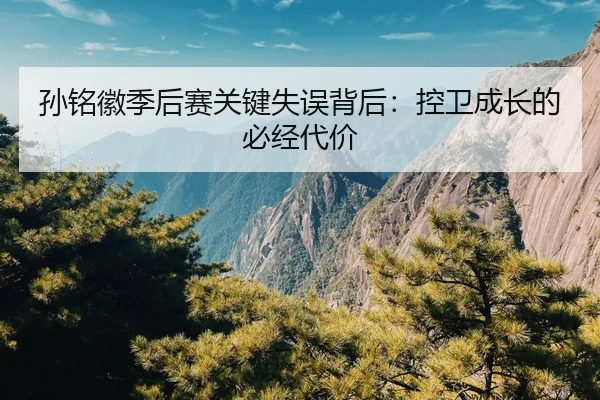 孙铭徽季后赛关键失误背后：控卫成长的必经代价