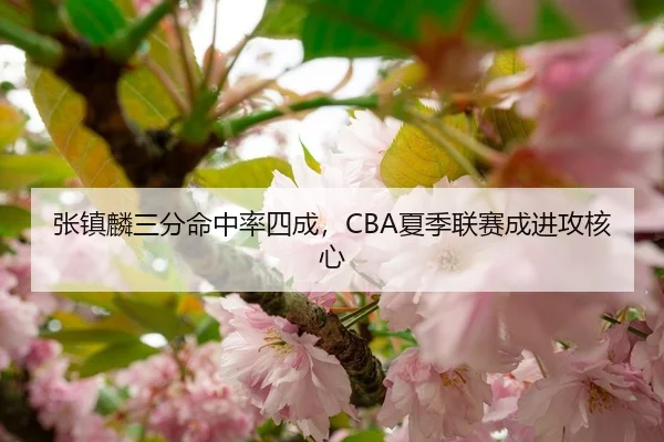 张镇麟三分命中率四成，CBA夏季联赛成进攻核心